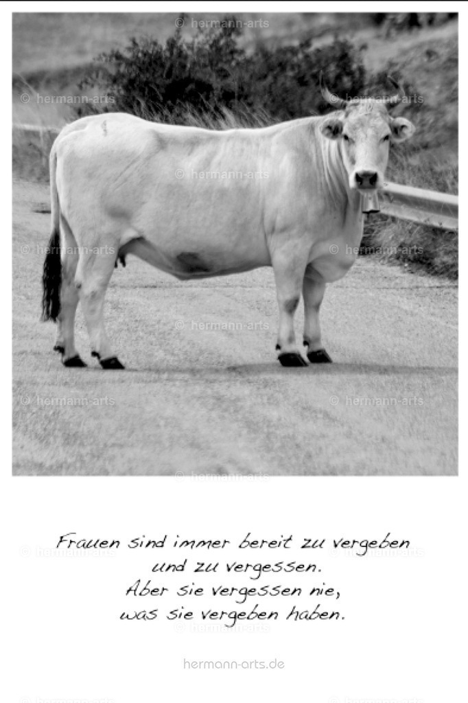 PK_Zitate_10x15_BW-075 | Photo Foto Kunst Art schwarzweiss Bilder Rheine Münster Berlin Blumen 