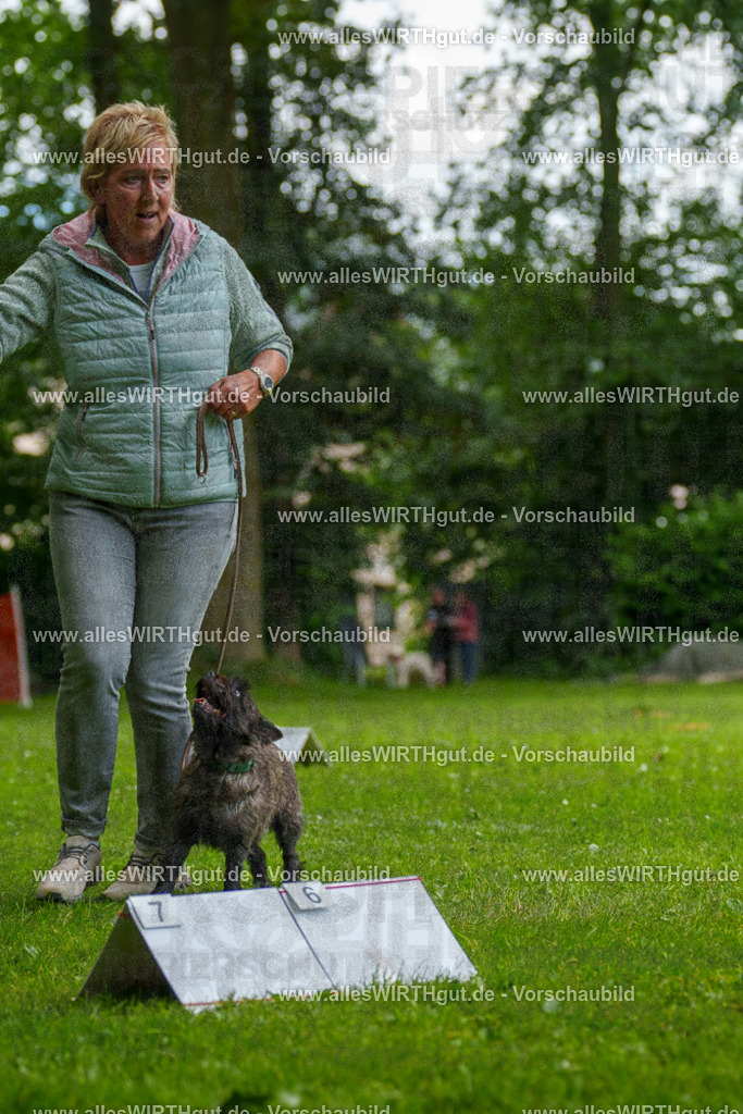 @allesWIRTHgut_Tierfotografie - www.allesWIRTHgut.de - 130104-7R509677 | Professionelle Tierfotografie in Mönchengladbach von Daniel Wirth (allesWIRTHgut). Liebevolle & natürliche Bilder von Hunden & Katzen für unvergessliche Erinnerungen.