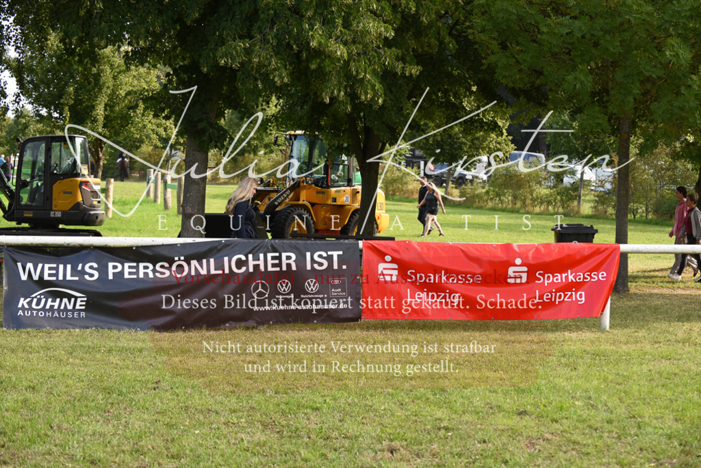 DSC_8517 | Pferde- und Turnierfotografie in Westsachsen. Pferdeportraits, Auftragszeichnungen und intuitive Kunst.