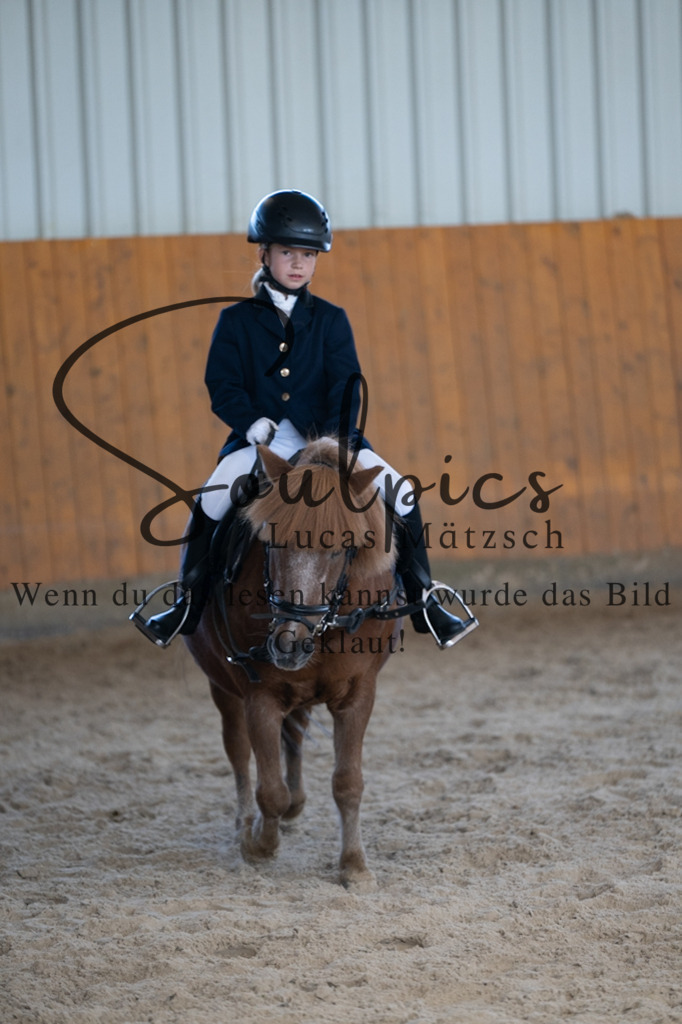 A7V02117 | Turnier/Reitfotograf