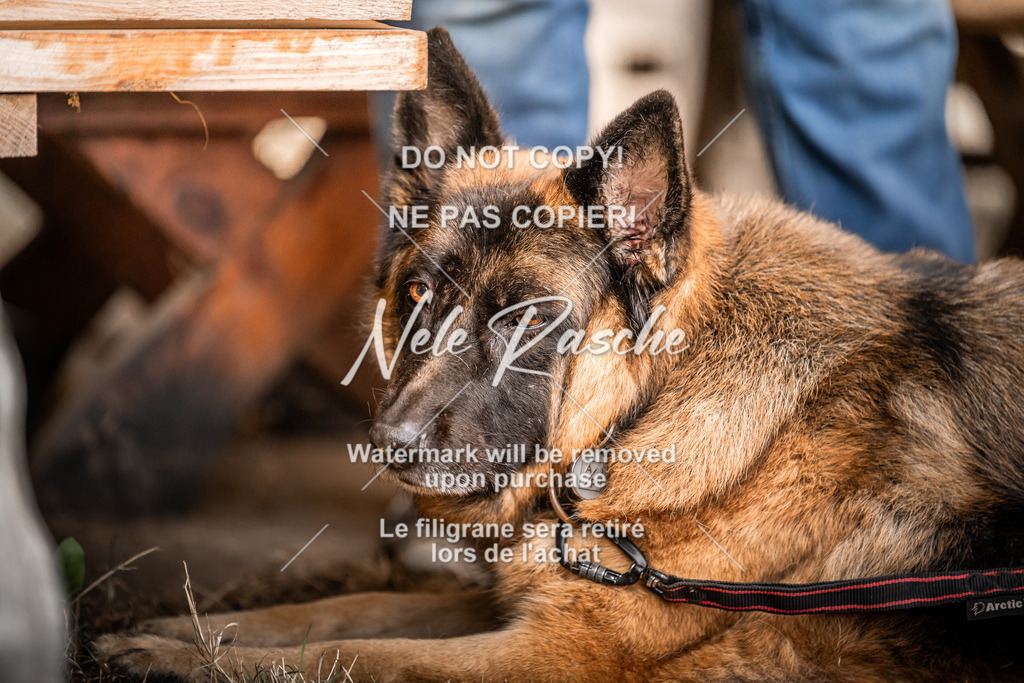 nelerasche_slaw24Fr1_194 | nelerasche