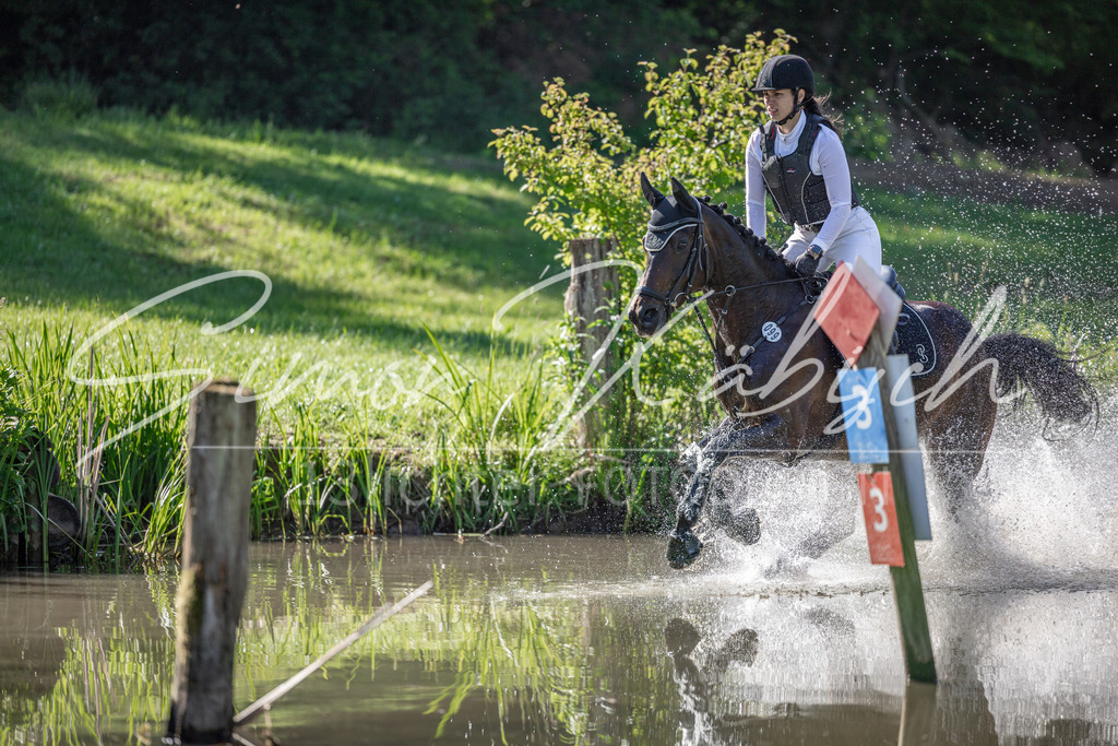 20260523-_3LI6403 | Tierfotografie Pferde, Hunde, Katzen, Haustiere.
Turnierfotografie Reitturniere, Reiten, Springreiten, Dressur in Hanau, dem Main-Kinzig-Kreis und dem Rhein-Main- Gebiet um Frankfurt