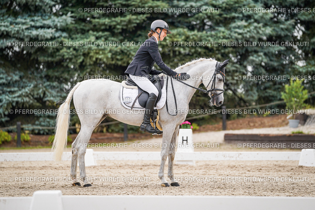 DSC02176 | Pferdegrafie