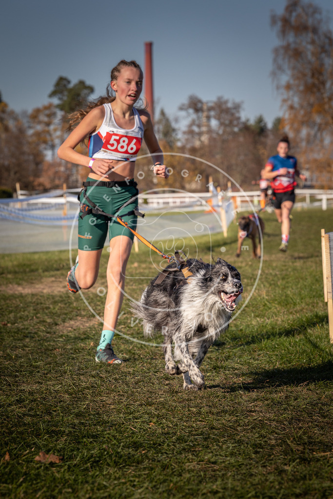 CaniXpix_0L8A8282 | Hundefotografie, Tierfotograf, Pfotenfotografie, Fotoshooting Hund, Hunde Portrait, Hundesport, Hundeportraits, Heideshooting, Hunde, Sportfotograf, Hundefotograf, Turnierhundsport, THS,  - Realisiert mit Pictrs.com