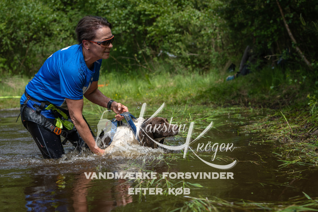 1224DKK992739 | kk-dogfotos