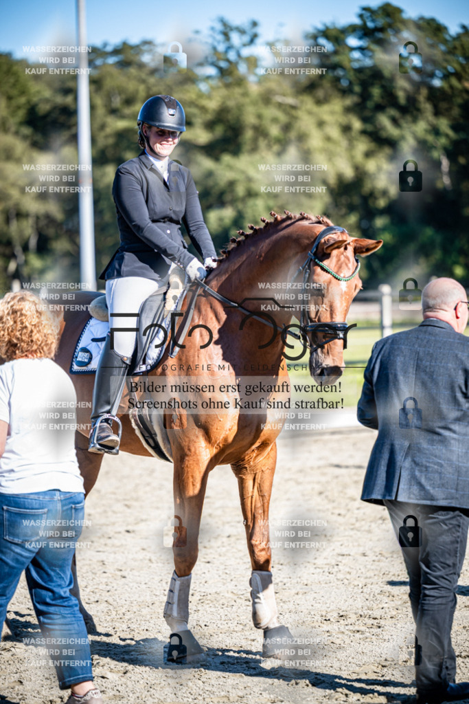 2026-09-Lohne-11-0015 | Entdecke hochwertige Reitturnierfotos von Foto Oger. Professionell, emotional und authentisch – jetzt Lieblingsmomente im Shop bestellen.Deutschlandweite Turnierfotografie. - Realisiert mit Pictrs.com