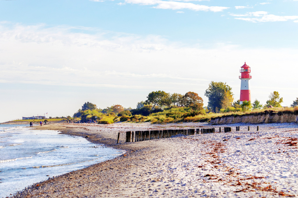 Wandbild: Leuchtturm am Sandstrand | Dieses Wandbild im Querformat zeigt einen schönen Sandstrand an der Ostsee im Herbst. In der Ferne befindet sich zwischen den herbstlichen Bäumen ein rot weißer Leuchtturm. Im Vordergrund ist der Sandstrand zu sehen. - Realisiert mit Pictrs.com