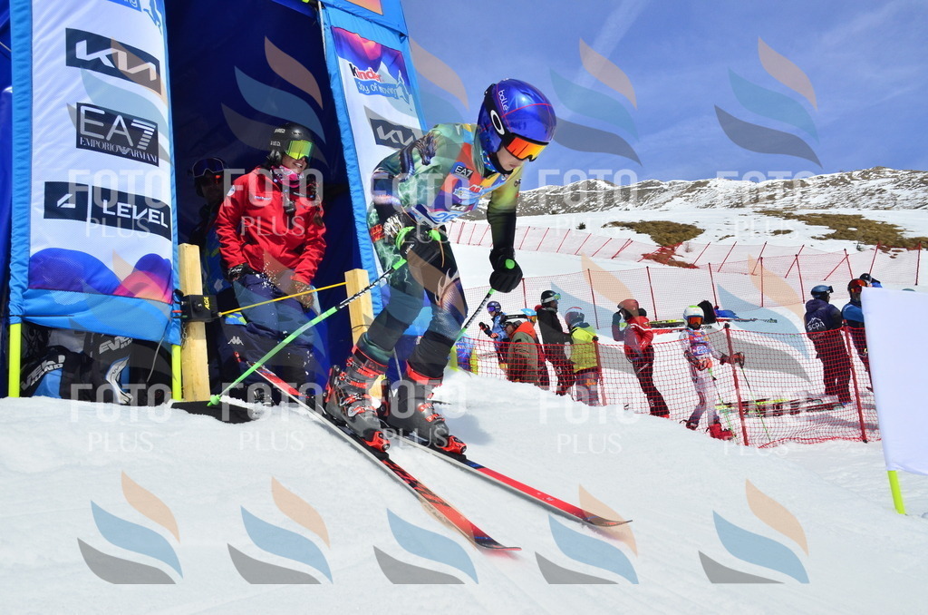 _ELE2012 | holidayphoto