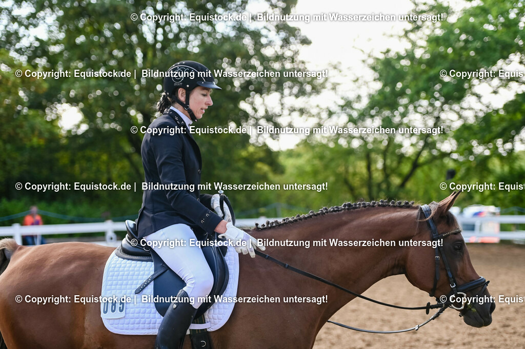 20230716_04_Dressurreiterprüfung Kl.A_0197 | equistock