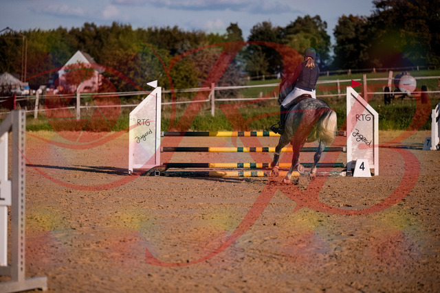 2026_10_03_Siefer-Hof_171404_Z81_11238262 | Professionelle Reitsport-, Turnier- und Eventfotografie von Robert Broda. Galerien mit ausgewählten und bearbeiteten Bildern direkt online ansehen und bestellen.