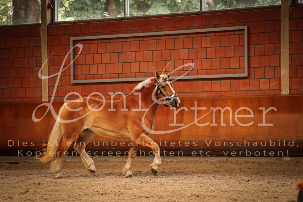 SaFL00240 | Leoni Ertmer Photography - Realisiert mit Pictrs.com