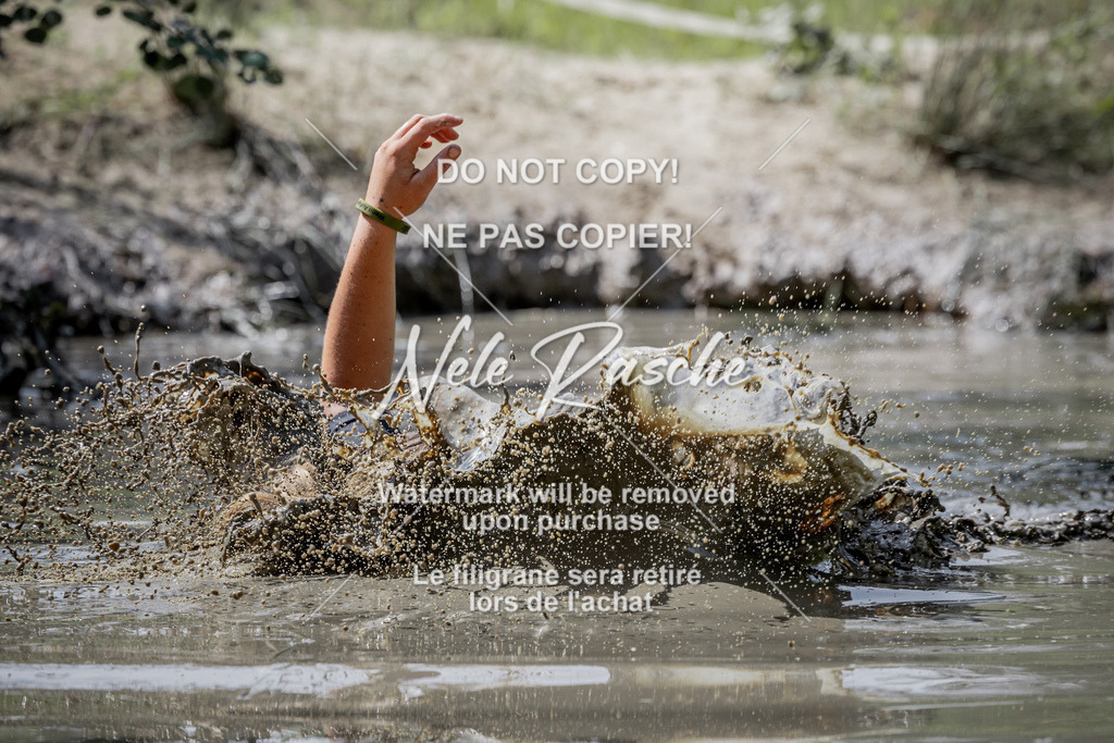 nelerasche_so1030-1100_338 | nelerasche