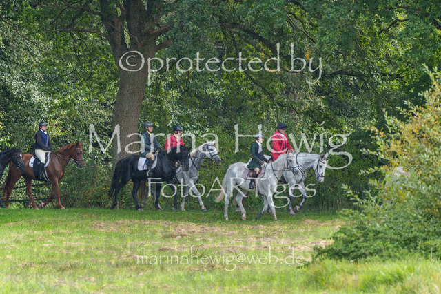 Jagd Perdoel_MarinaHewigMCH04629 | Fotografie, FotoArt, PferdesportArt, Pferdesportfotografie, Landschaftsfotografie, Reisefotografie, Reise, Pferde - Realisiert mit Pictrs.com