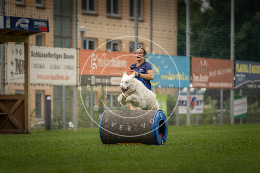 Pfotenfotografie_DV3A8509 | Hundefotografie, Tierfotograf, Pfotenfotografie, Fotoshooting Hund, Hunde Portrait, Hundesport, Hundeportraits, Heideshooting, Hunde, Sportfotograf, Hundefotograf, Turnierhundsport, THS,  - Realisiert mit Pictrs.com