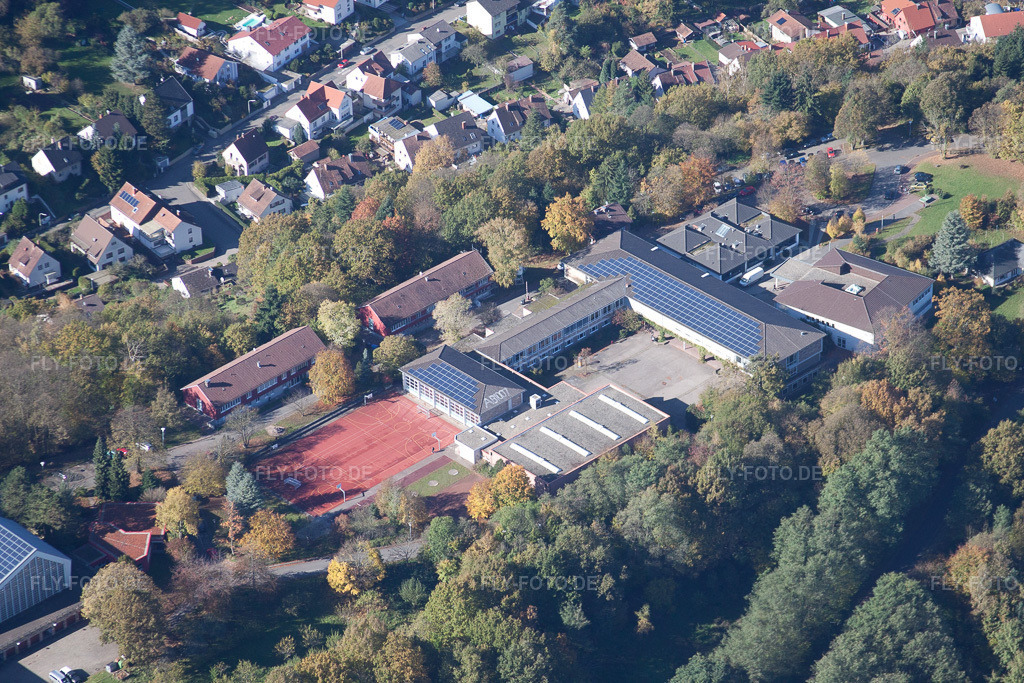 Luftbild: Privates Trifels-Gymnasium in Annweiler am Trifels im Bundesland Rheinland-Pfalz in Deutschland. Foto: IMG_34631.jpg vom 26.10.2010 durch Werner Riehm/FLY-FOTO.de