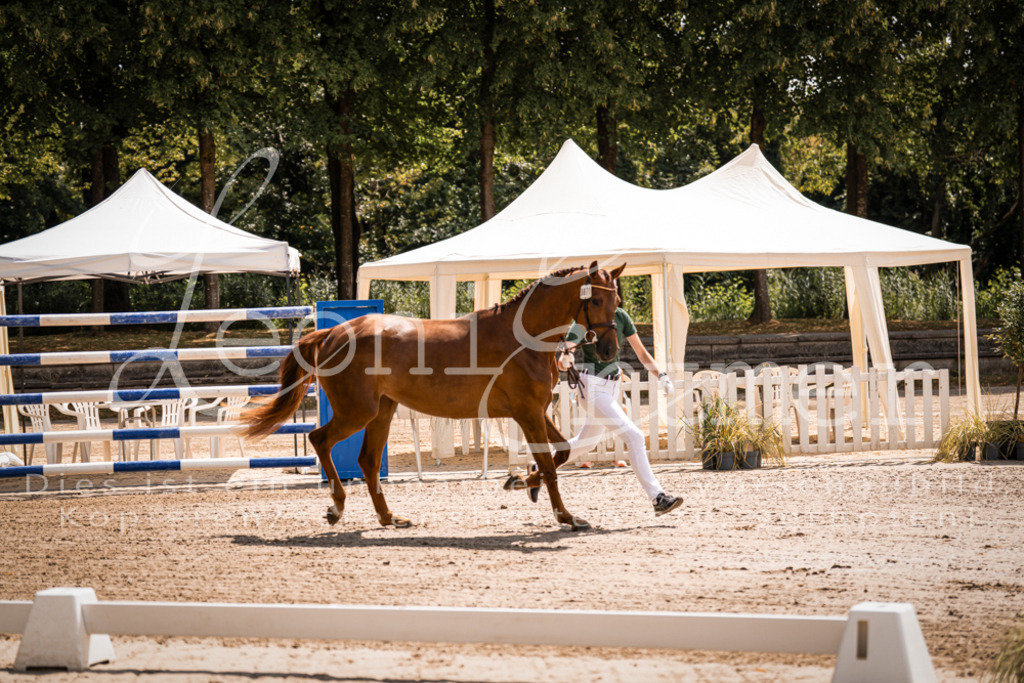 1.Fr00054 | Leoni Ertmer Photography - Realisiert mit Pictrs.com