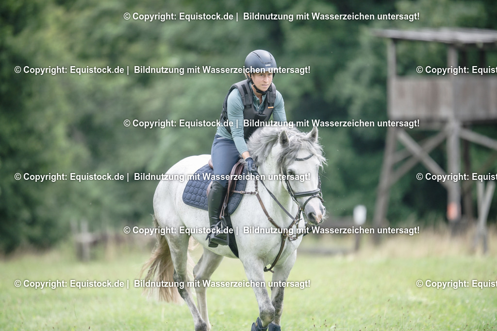 20250726_Vielseitigkeitslehrgang-Marbach_0550 | Foto: Thomas Hartig