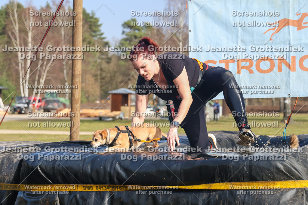 Dog Paparazzi - Strongdog North Mrz26-3058 | Dog Paparazzi Jeanette Grottendiek Fotografie & Videografie - Realisiert mit Pictrs.com