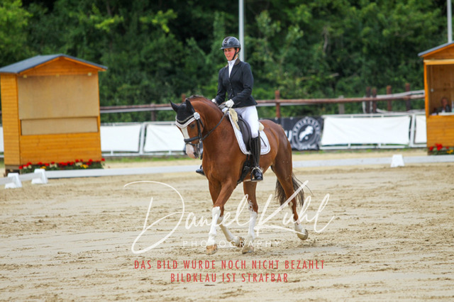 DKP46300 | Turniersportfotografie; Pferdefotografie; Dressurfotografie