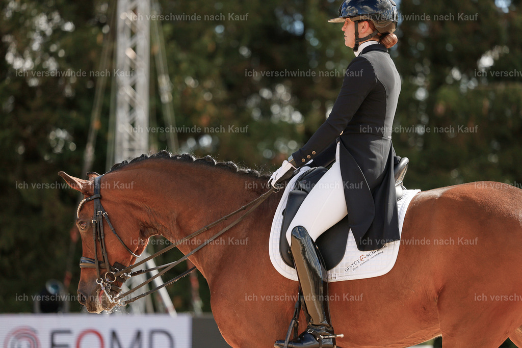 09_2-100-DRESSUR  S_  -StoibPH-5871 | working equitationturnier fotograf videograf stoibphotography marixx film working equitation deutschland reitsport turnierfotografie eventfotografie equestrian events