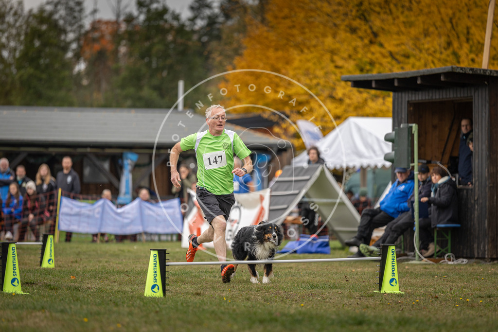 Pfotenfotografie_DV3A6213 | Hundefotografie, Tierfotograf, Pfotenfotografie, Fotoshooting Hund, Hunde Portrait, Hundesport, Hundeportraits, Heideshooting, Hunde, Sportfotograf, Hundefotograf, Turnierhundsport, THS,  - Realisiert mit Pictrs.com