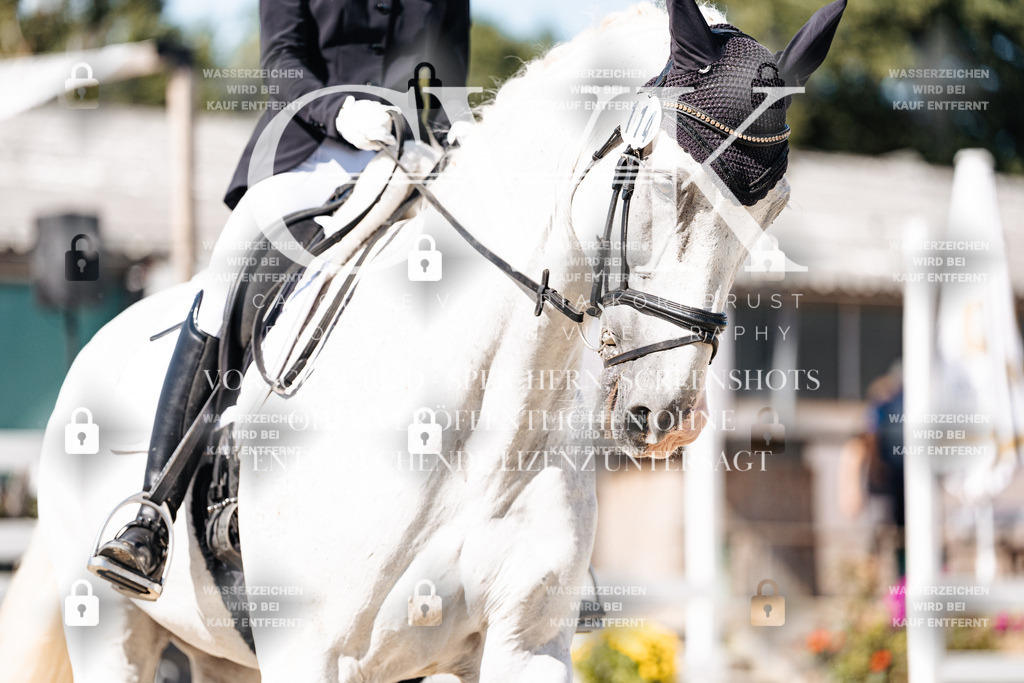 CK908902 | Turnierfotografie Pferdefotografie Trier Rheinland-Pfalz Pferdesport Reitsport Tierfotografie Sportfotografie Pferdevideo Pferdevideografie Equestrianvideography equestrianphotography  - Realisiert mit Pictrs.com
