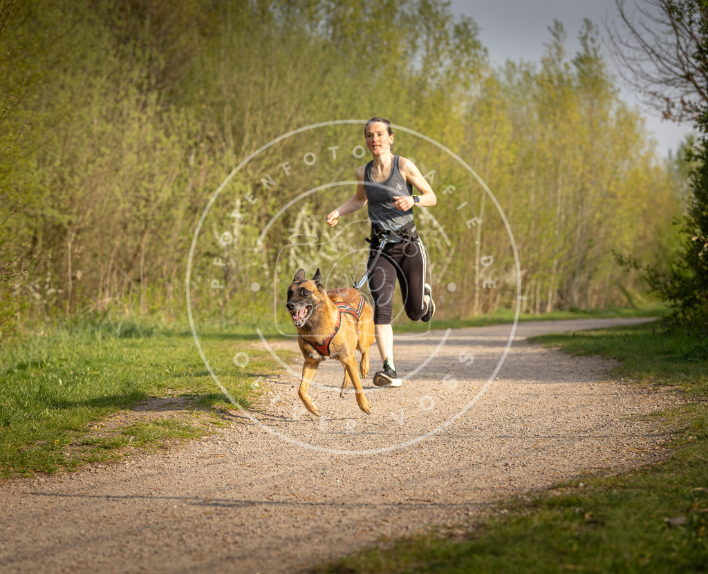 Pfotenfotografie_DV3A4570 | Hundefotografie, Tierfotograf, Pfotenfotografie, Fotoshooting Hund, Hunde Portrait, Hundesport, Hundeportraits, Heideshooting, Hunde, Sportfotograf, Hundefotograf, Turnierhundsport, THS,  - Realisiert mit Pictrs.com
