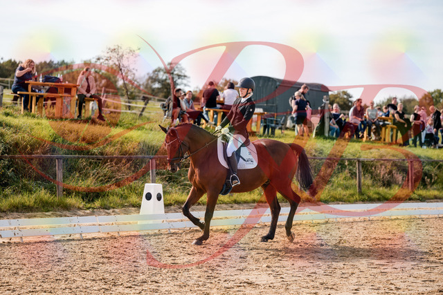 2026_10_03_Siefer-Hof_131003_Z63_72149470 | Professionelle Reitsport-, Turnier- und Eventfotografie von Robert Broda. Galerien mit ausgewählten und bearbeiteten Bildern direkt online ansehen und bestellen.