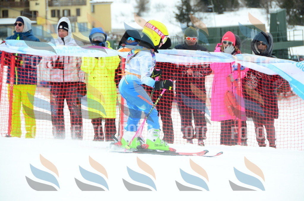 DSC_0801 | holidayphoto