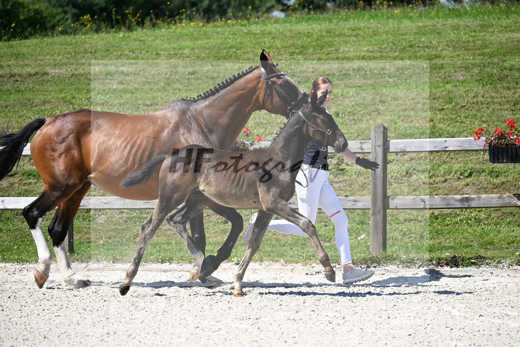 Kat-Nr. 26 Rotgold x Pilotek_SF_Fischer_24250293 | hf-fotografie - Realisiert mit Pictrs.com