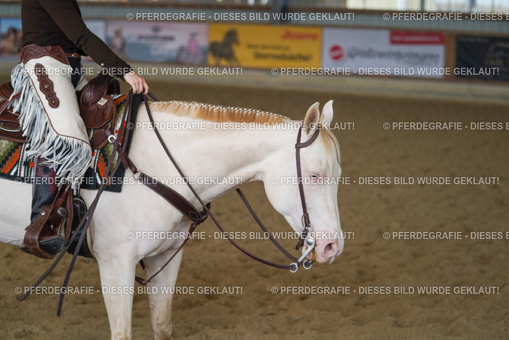 DSC00566 | Pferdegrafie