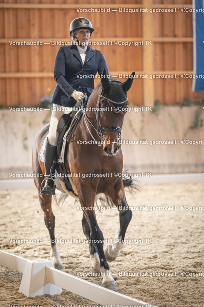 _D5A2918 | Emotionale Pferde- & People-Fotografie rund um Heidelberg, Leimen & Umgebung. Natürliche Fotos von Pferd, Mensch & Familie. Jetzt Termin sichern!