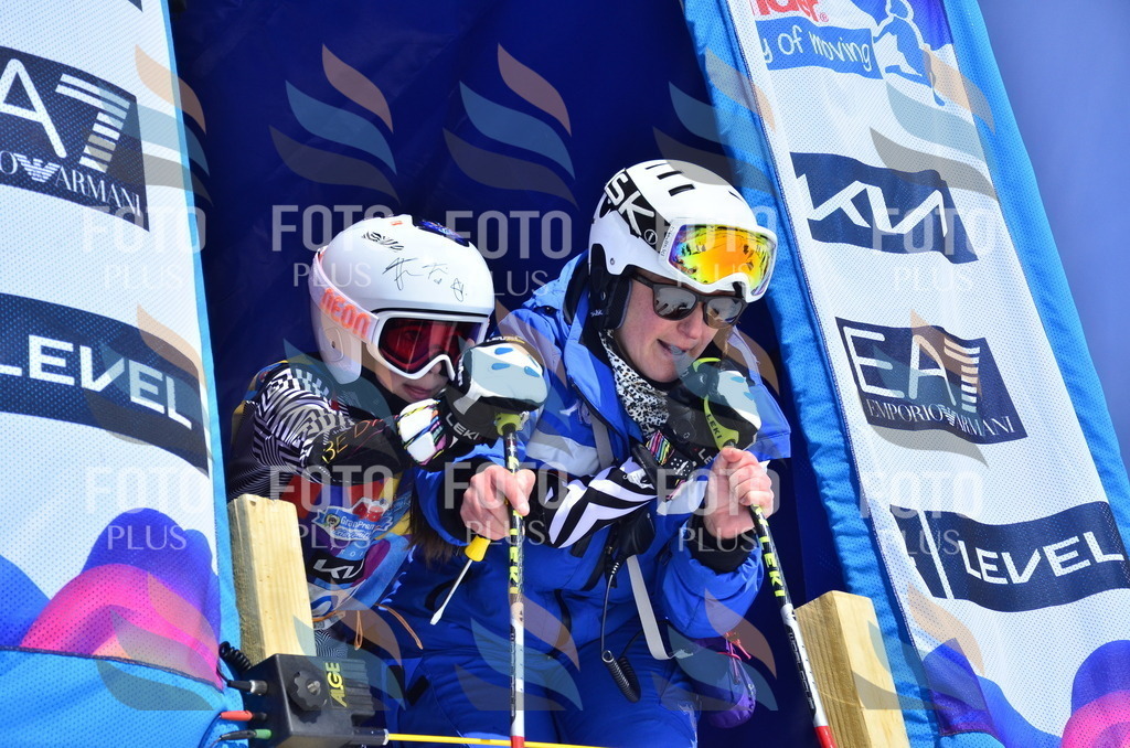 _ELE0563 | holidayphoto