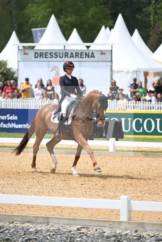 Baer_Superstar_11233778 | hf-fotografie - Realisiert mit Pictrs.com