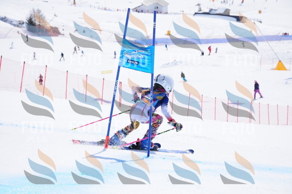 DSC_1248 | holidayphoto