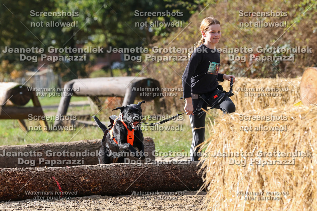 Dog Paparazzi - Strongdog 10-25-5188 | Dog Paparazzi Jeanette Grottendiek Fotografie & Videografie - Realisiert mit Pictrs.com