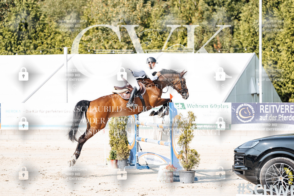 CK902353 | Turnierfotografie Pferdefotografie Trier Rheinland-Pfalz Pferdesport Reitsport Tierfotografie Sportfotografie Pferdevideo Pferdevideografie Equestrianvideography equestrianphotography  - Realisiert mit Pictrs.com