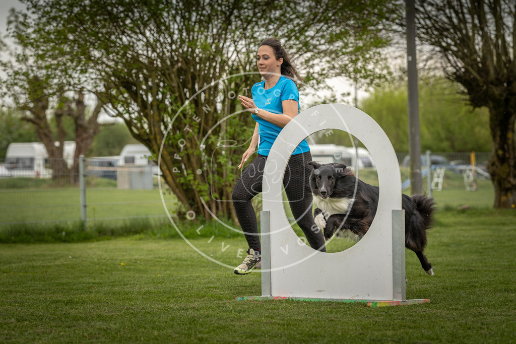 Pfotenfotografie_DV3A2909 | Hundefotografie, Tierfotograf, Pfotenfotografie, Fotoshooting Hund, Hunde Portrait, Hundesport, Hundeportraits, Heideshooting, Hunde, Sportfotograf, Hundefotograf, Turnierhundsport, THS,  - Realisiert mit Pictrs.com