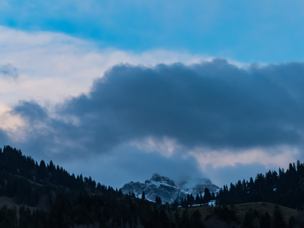 PSX_20230331_231820 | mtkfoto_ - Realisiert mit Pictrs.com