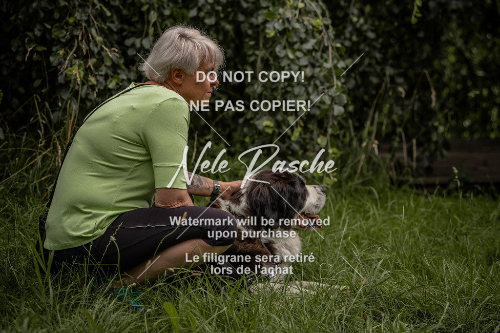 nelerasche_DoN_81 | nelerasche