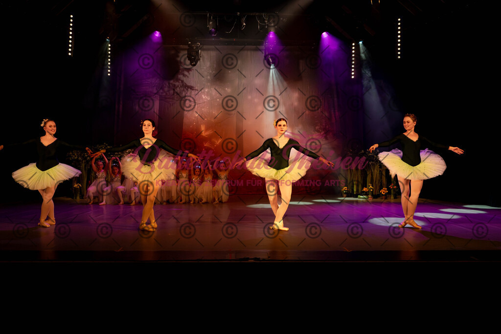 Ballettaufführung-595 | Bildershop Lem'n Entertainment - Realisiert mit Pictrs.com