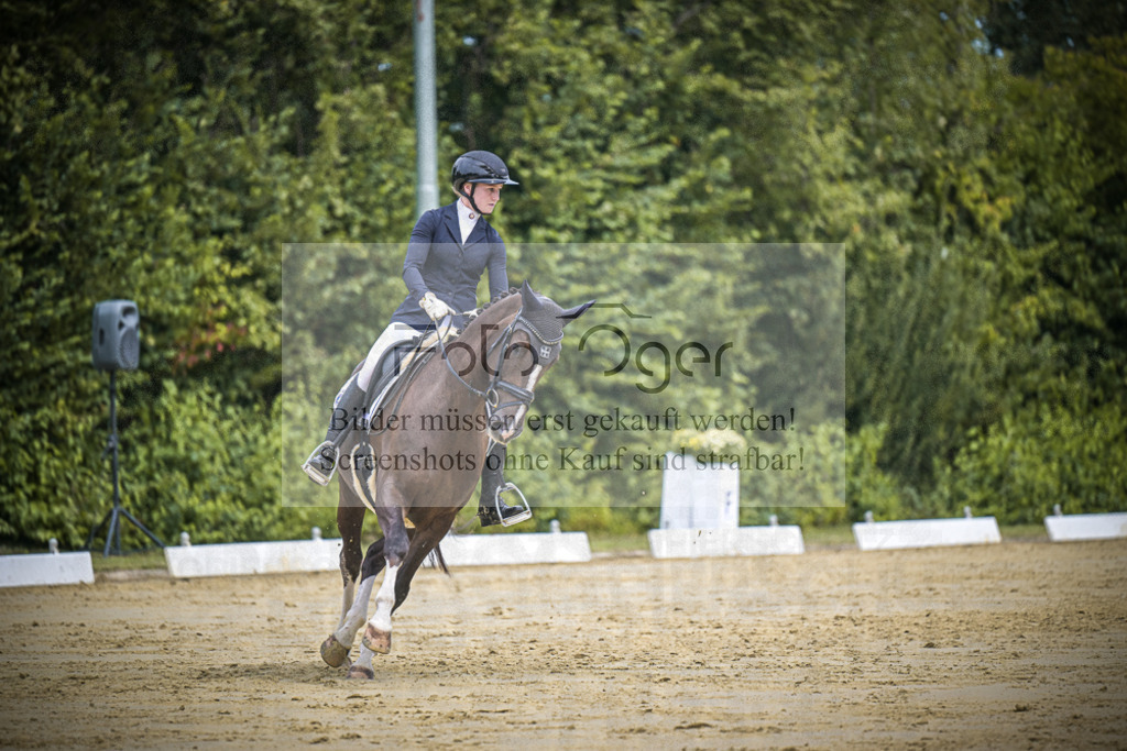 DOS_1591 | Entdecke hochwertige Reitturnierfotos von Foto Oger. Professionell, emotional und authentisch – jetzt Lieblingsmomente im Shop bestellen.Deutschlandweite Turnierfotografie. - Realisiert mit Pictrs.com