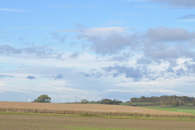 Herbst in Bornum (2) | Naturfotografie Frauke Gläser - Realisiert mit Pictrs.com