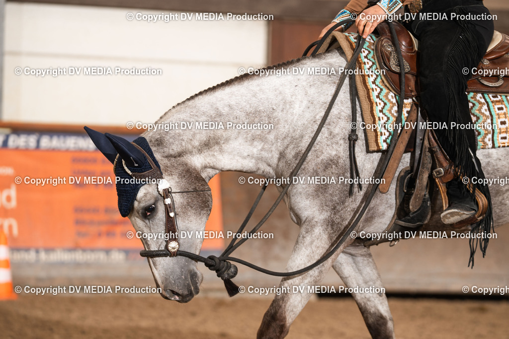 Heiligenwald Tag 1-2834 | dv-media-shop - Realisiert mit Pictrs.com