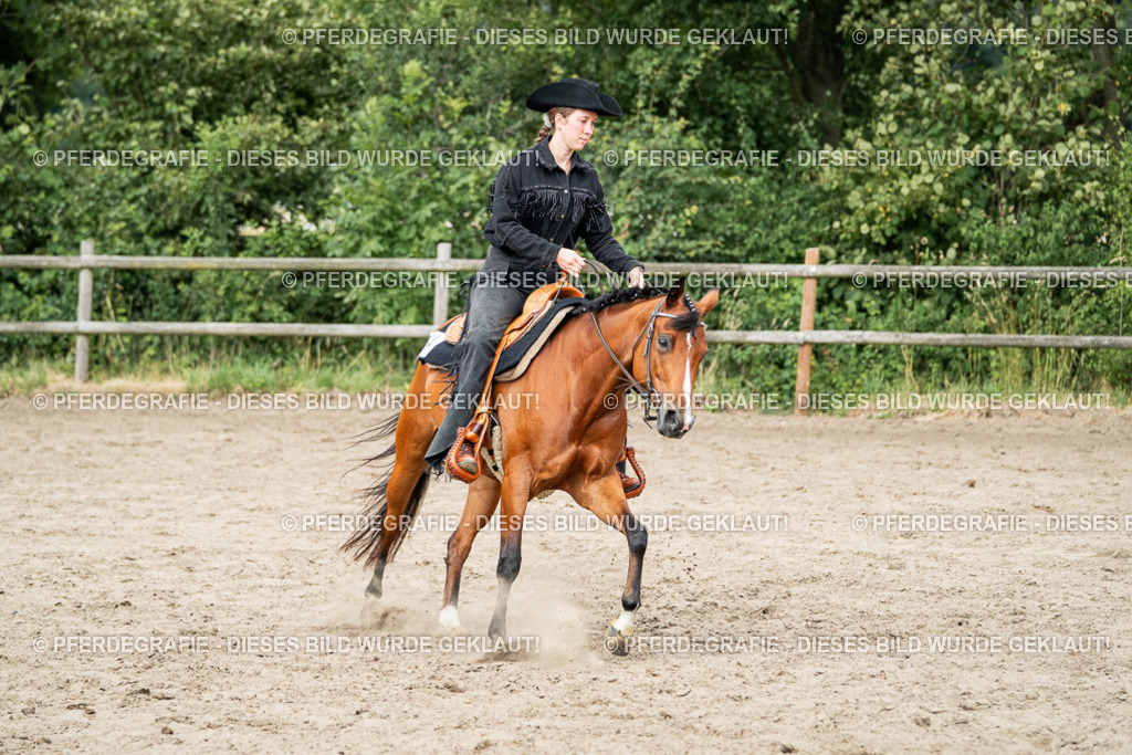 DSC02252 | Pferdegrafie