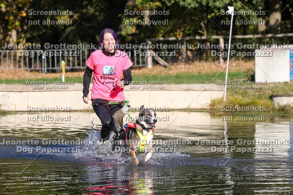 Dog Paparazzi - Strongdog 10-25-8811 | Dog Paparazzi Jeanette Grottendiek Fotografie & Videografie - Realisiert mit Pictrs.com