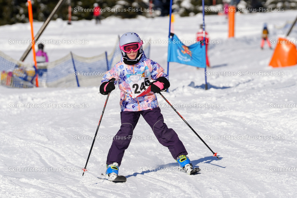 SRF_09.01.2026_0354 | SRF_09.01.2026_0354 - Realisiert mit Pictrs.com