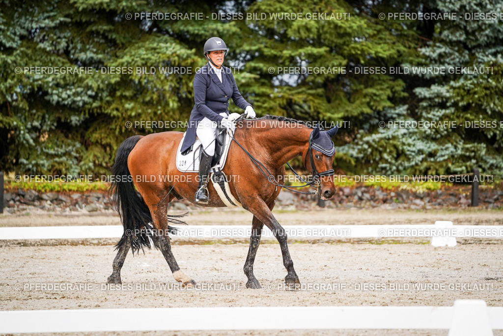 DSC09782 | Pferdegrafie