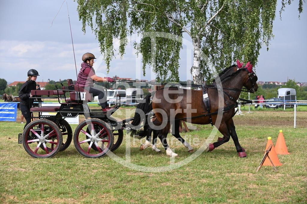 DSC_8758 | sattelsport - Realisiert mit Pictrs.com