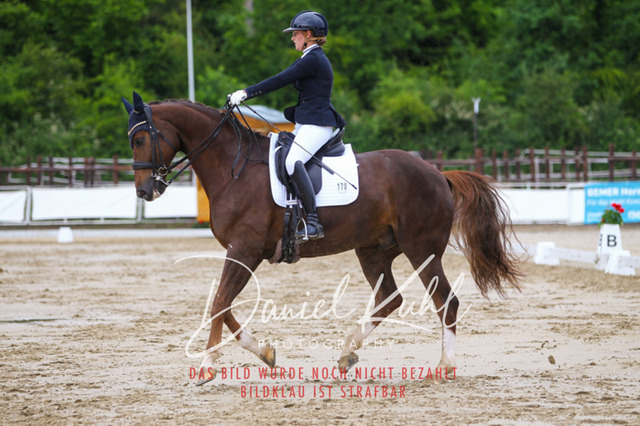 DKP46899 | Turniersportfotografie; Pferdefotografie; Dressurfotografie